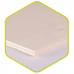 Wall Ford Transit Custom 2023 Multi 8mm L1/H2